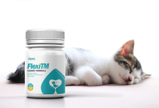 REACH认证是什么?一分钟带你了解欧盟REACH检测 (图1) REACH认证是什么?一分钟带你了解欧盟REACH检测 (图1)